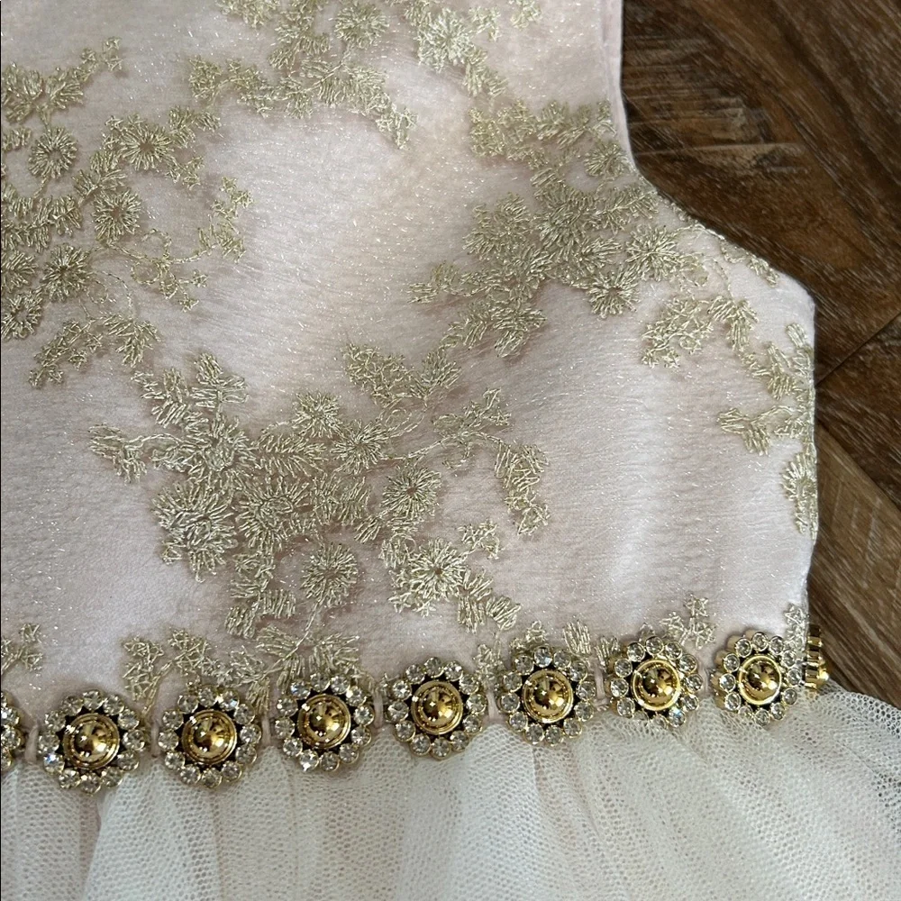 American Princess Girls Toddler Dress Beautiful Fancy Light Pink, Gold, & White - Picture 3 of 13
